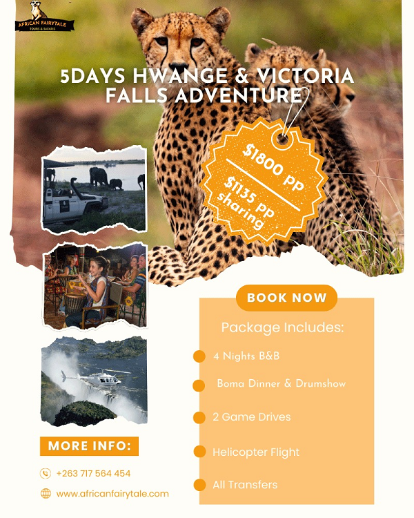Victoria falls microlight african fairytale tours